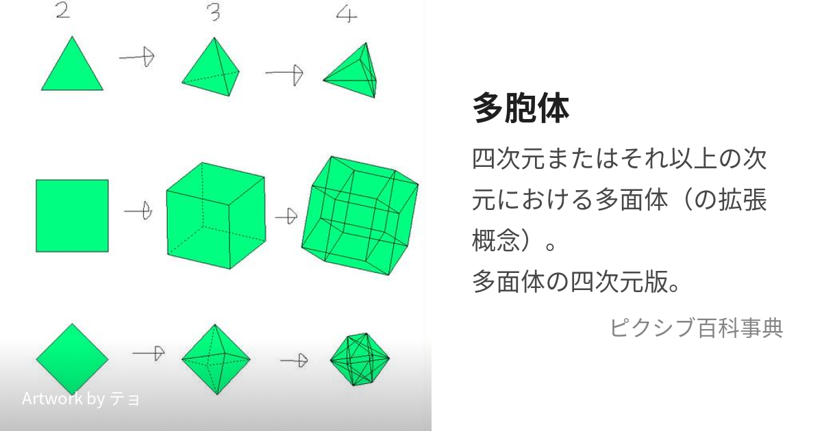 多胞体 (たほうたい)とは【ピクシブ百科事典】