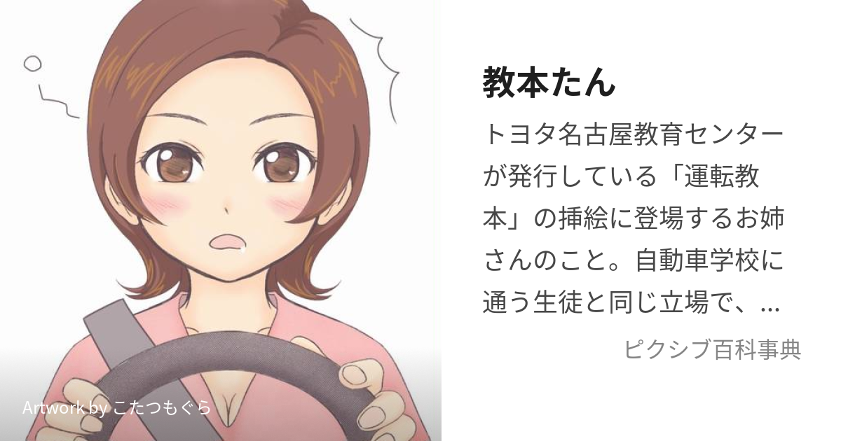 驚きの価格が実現！】 目で見る自動車運転教本 | ceac99.org