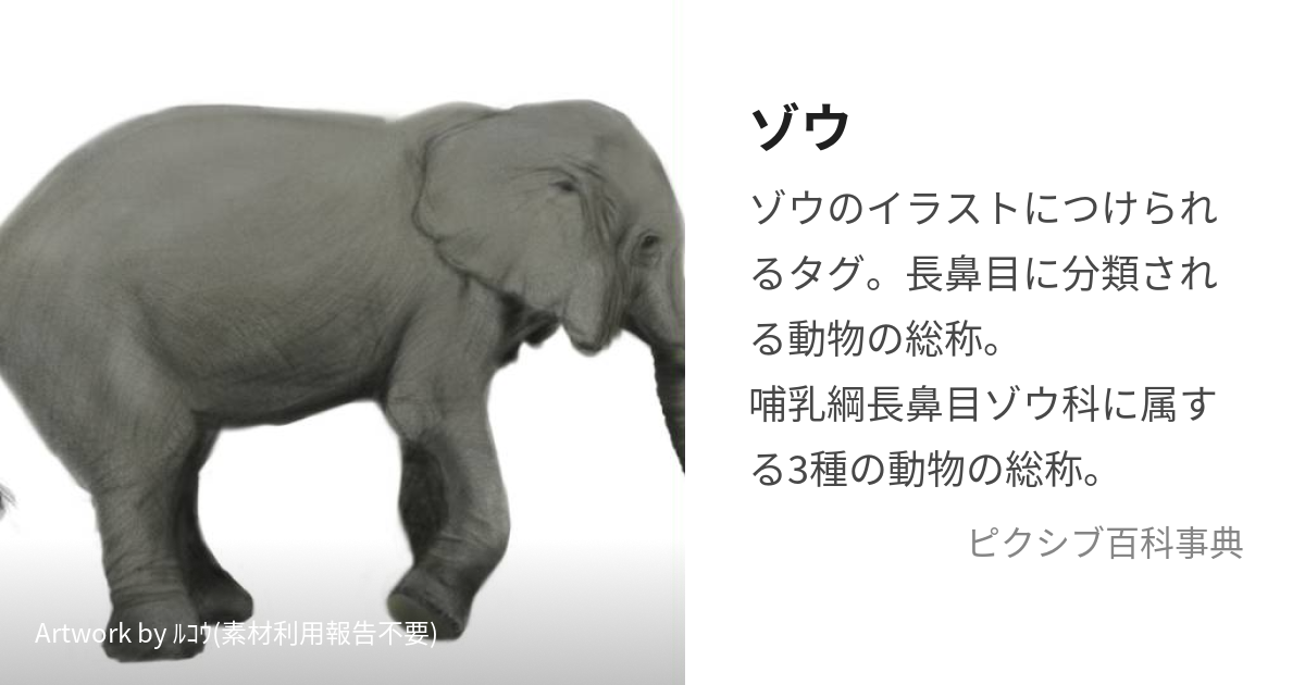 ゾウ (ぞう)とは【ピクシブ百科事典】