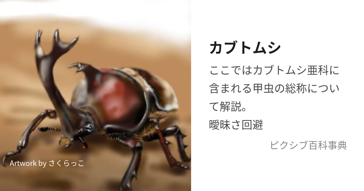 カブトムシ (かぶとむし)とは【ピクシブ百科事典】