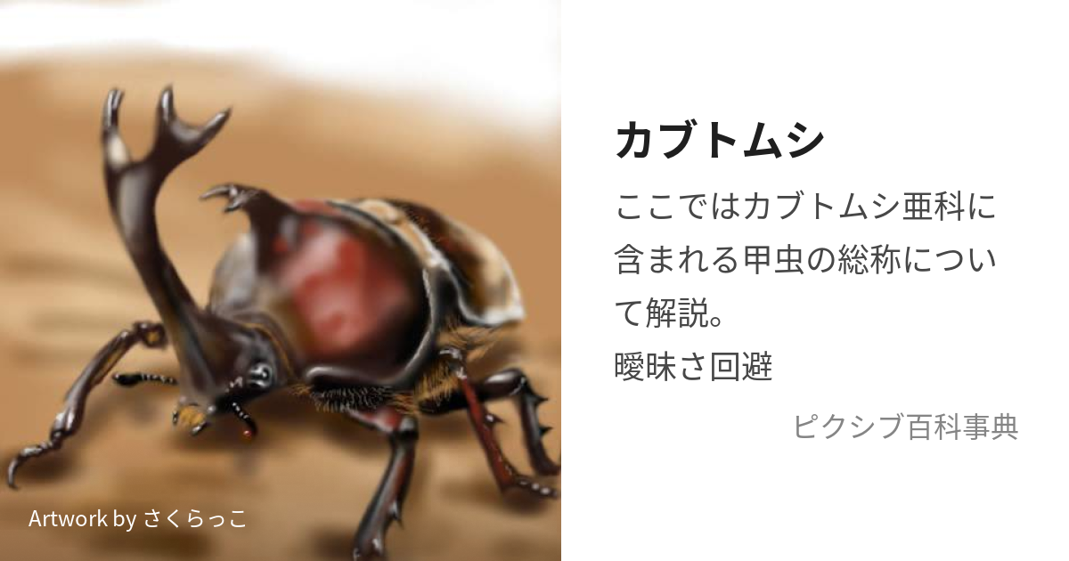 カブトムシ (かぶとむし)とは【ピクシブ百科事典】