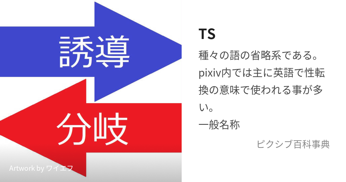 TS (てぃーえす)とは【ピクシブ百科事典】