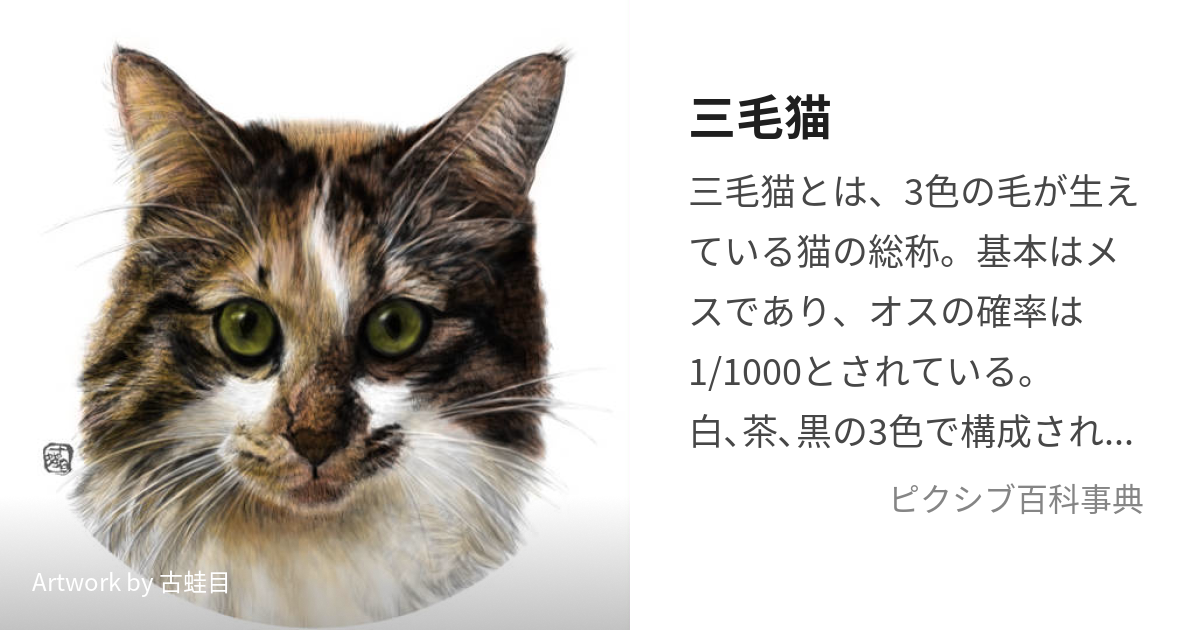 が大特価！ 三毛猫スージーの絵・甘く切ない猫の恋物語 - 美術品