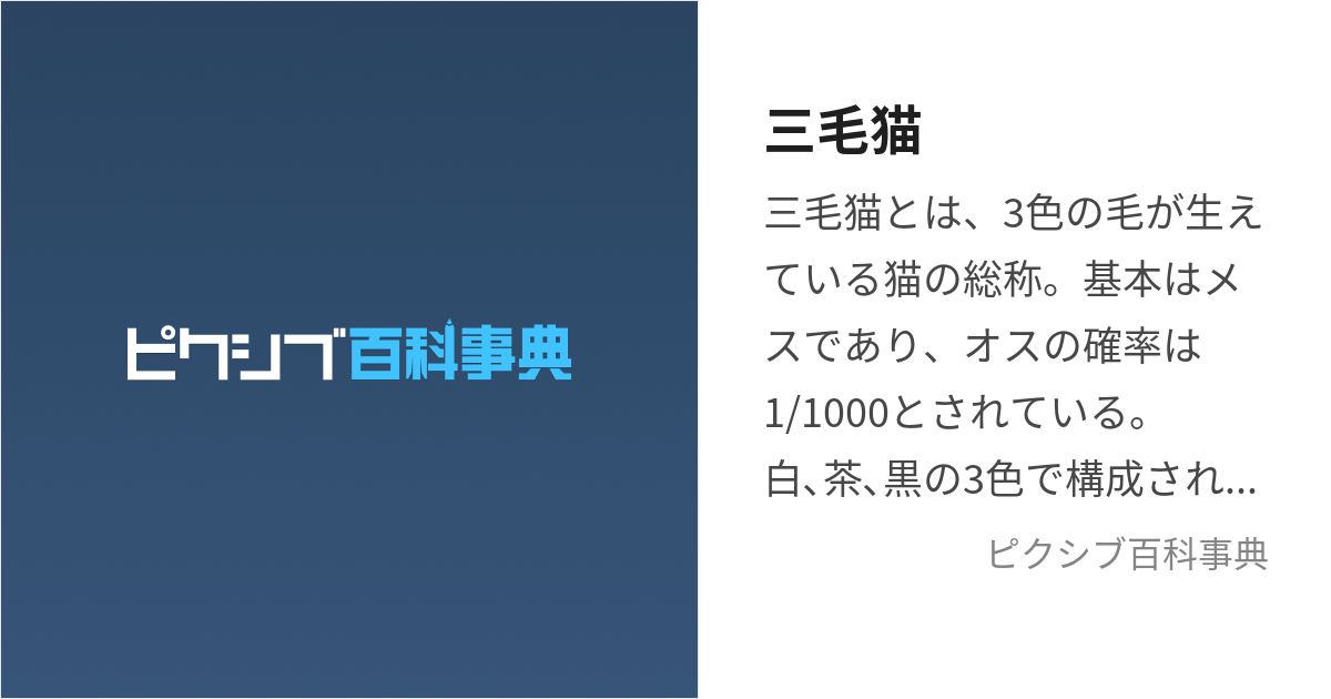 三毛猫 (みけねこ)とは【ピクシブ百科事典】