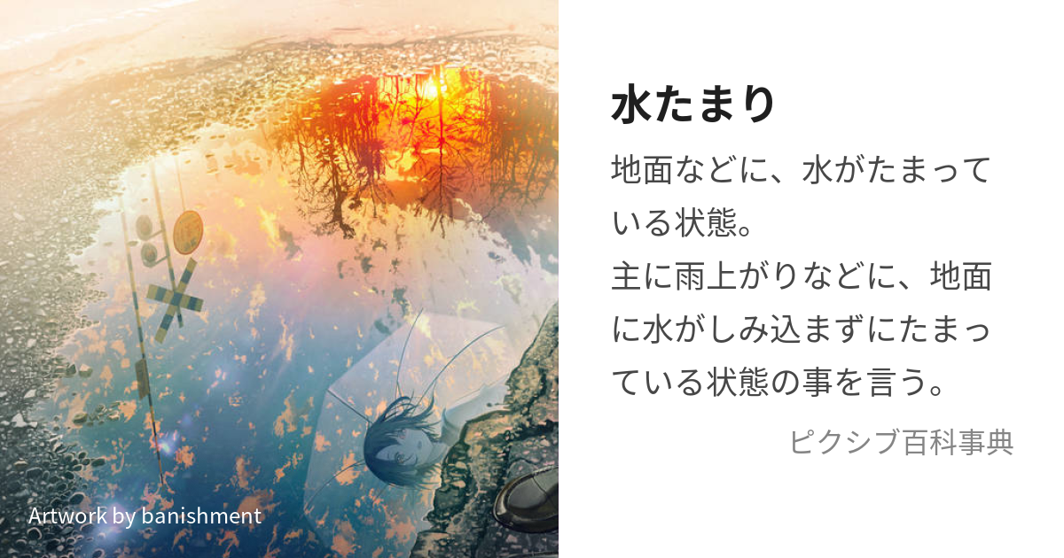 水たまり みずたまり とは ピクシブ百科事典