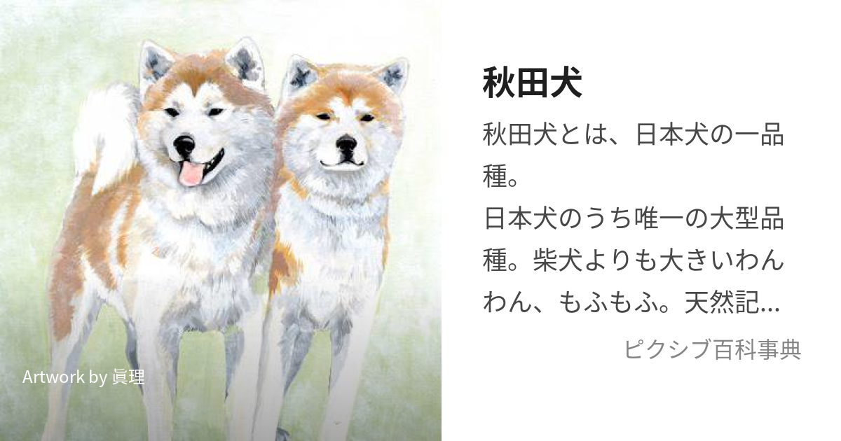 アート犬 ショップ pixiv