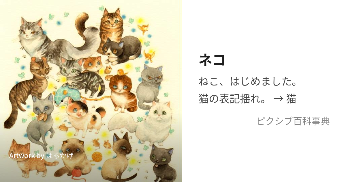 ネコ (ねこ)とは【ピクシブ百科事典】