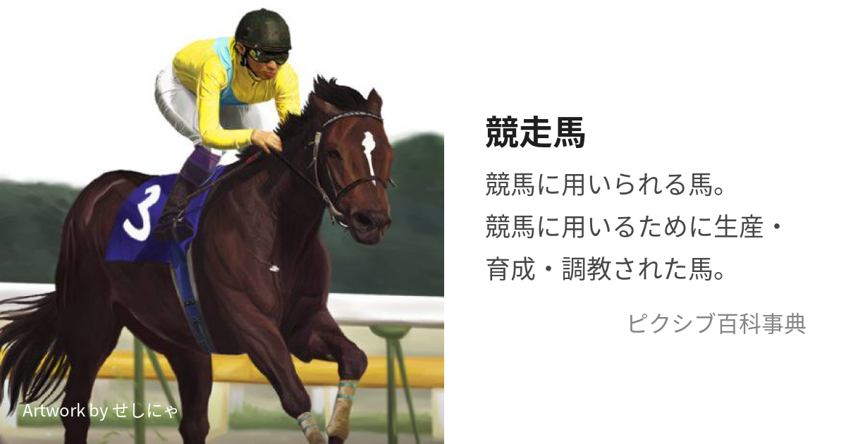 競走馬 (きょうそうば)とは【ピクシブ百科事典】