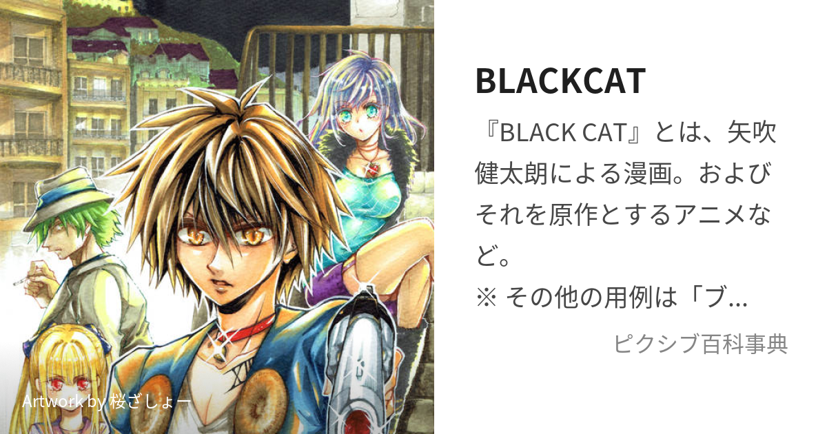 BLACKCAT (ぶらっくきゃっと)とは【ピクシブ百科事典】