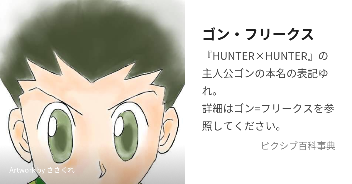 Hunter x Hunter Eternamente - Sobre os quatro protagonistas principais da  série Hunter x Hunter. - Gon Freecss (ゴン=フリークス Gon Furīkusu). Ele é filho  de um famoso Hunter, Ging Freecss e ele