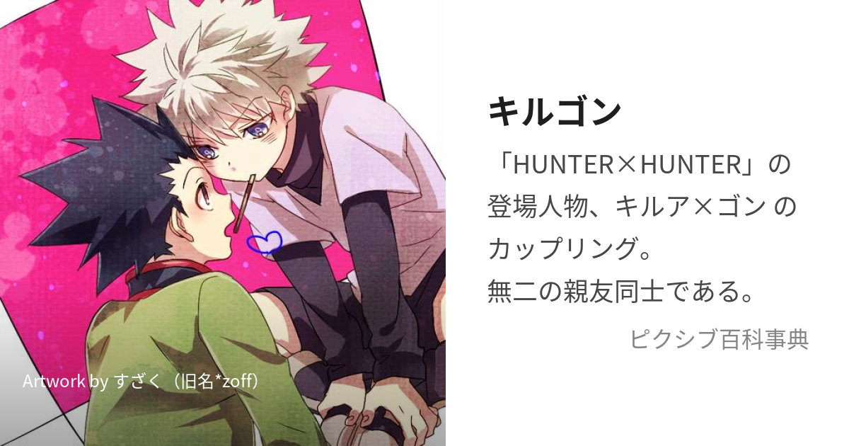 バラ可 HUNTER x HUNTER ハンターハンター 同人誌 同人 ヒソイル - 同人誌