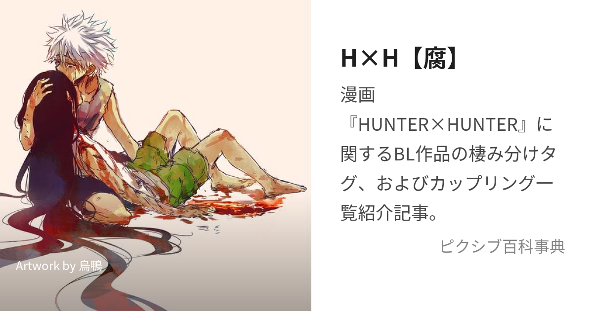 バラ可 HUNTER x HUNTER ハンターハンター 同人誌 同人 ヒソイル - 同人誌