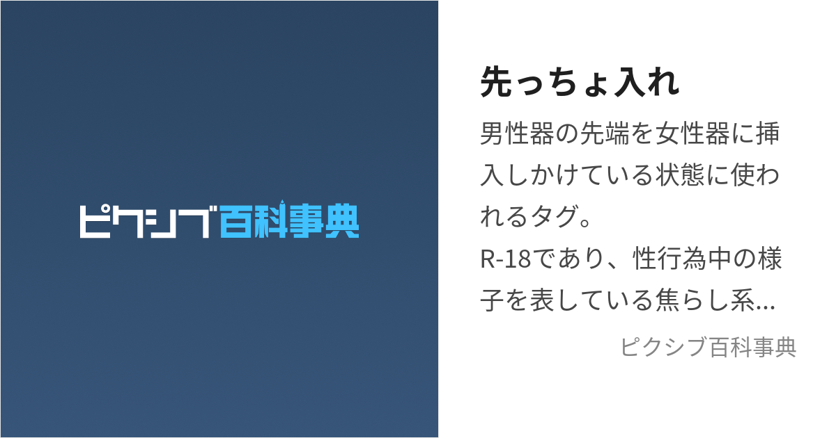 先っちょ入れ (さきっちょいれ)とは【ピクシブ百科事典】