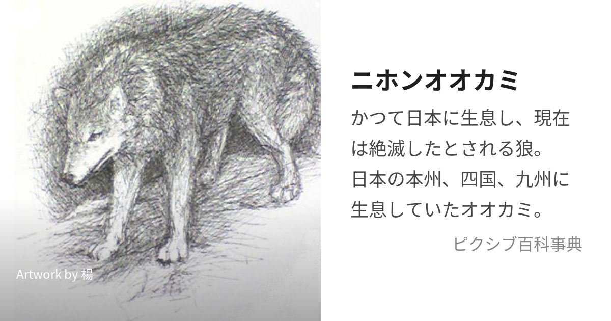 ニホンオオカミ (にほんおおかみ)とは【ピクシブ百科事典】