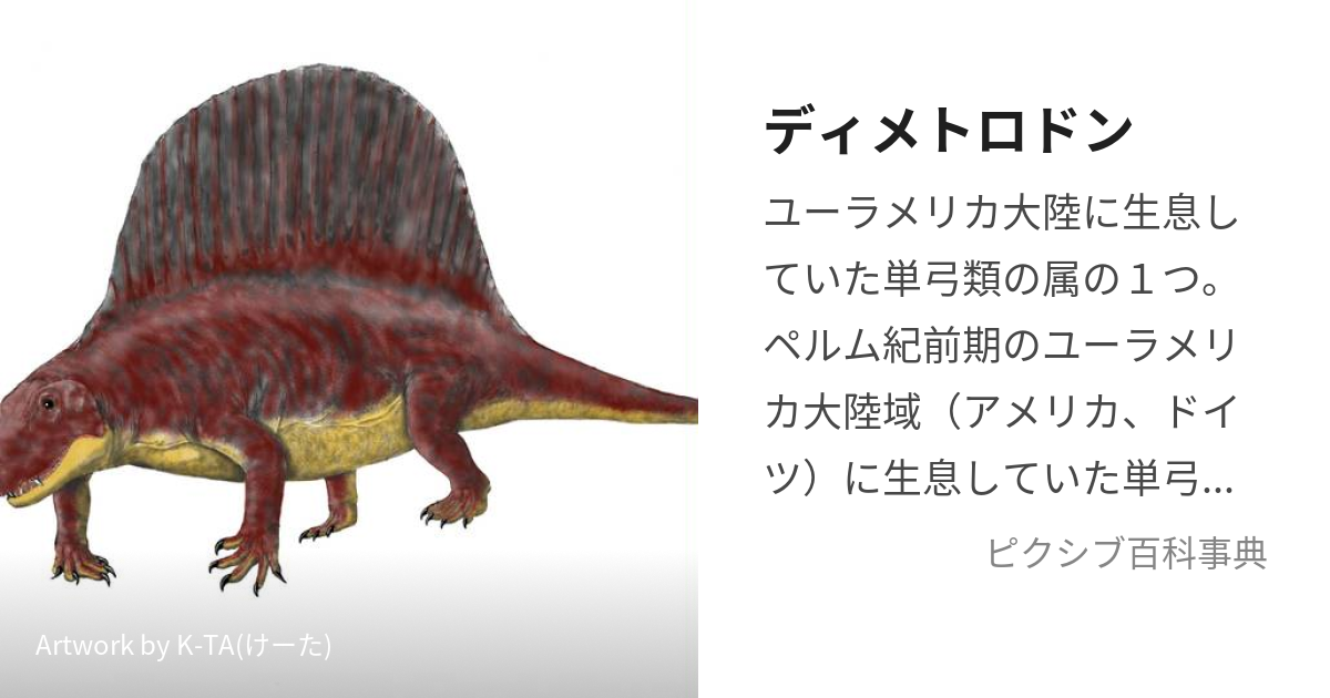 テキサス産 単弓類 ディメトロドン 化石 人気定番の flat-a.co.jp