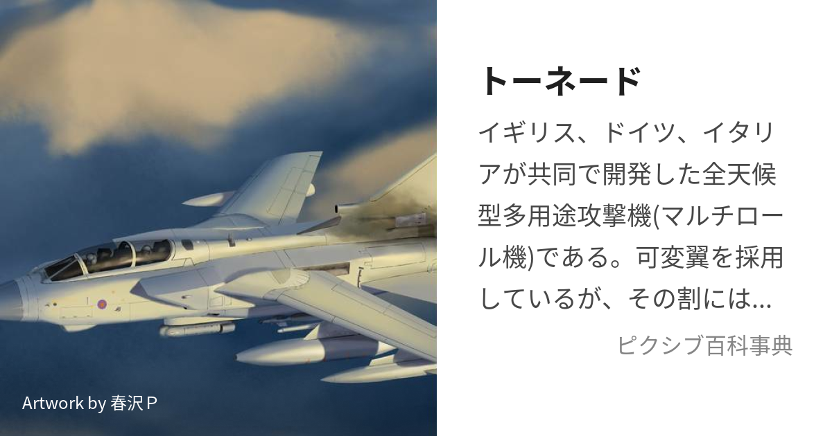 英空軍 戦闘機 トーネード トルネード タグ キーホルダー 部品 外板-