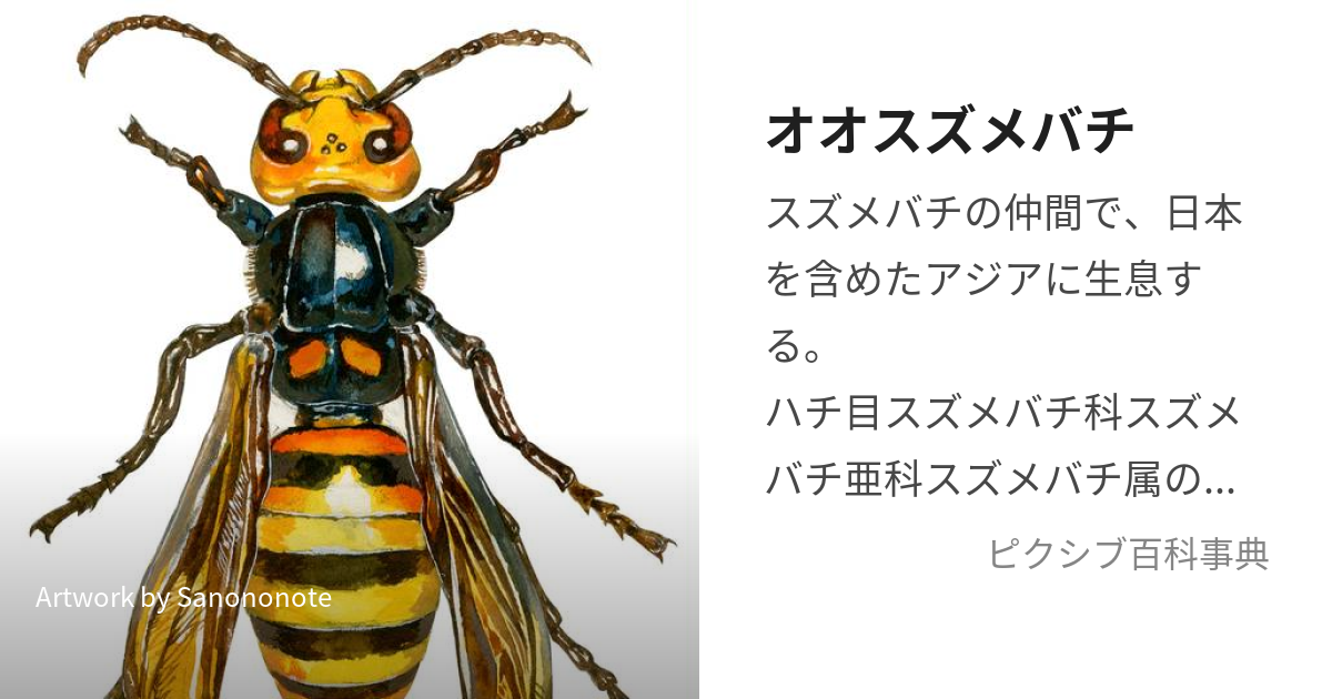 オオスズメバチ 令和2年物 蜂100匹以上 - 焼酎