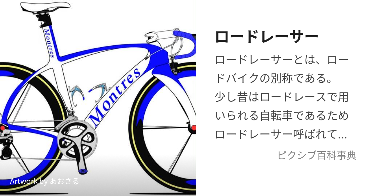 ロードレーサー (ろーどれーさー)とは【ピクシブ百科事典】