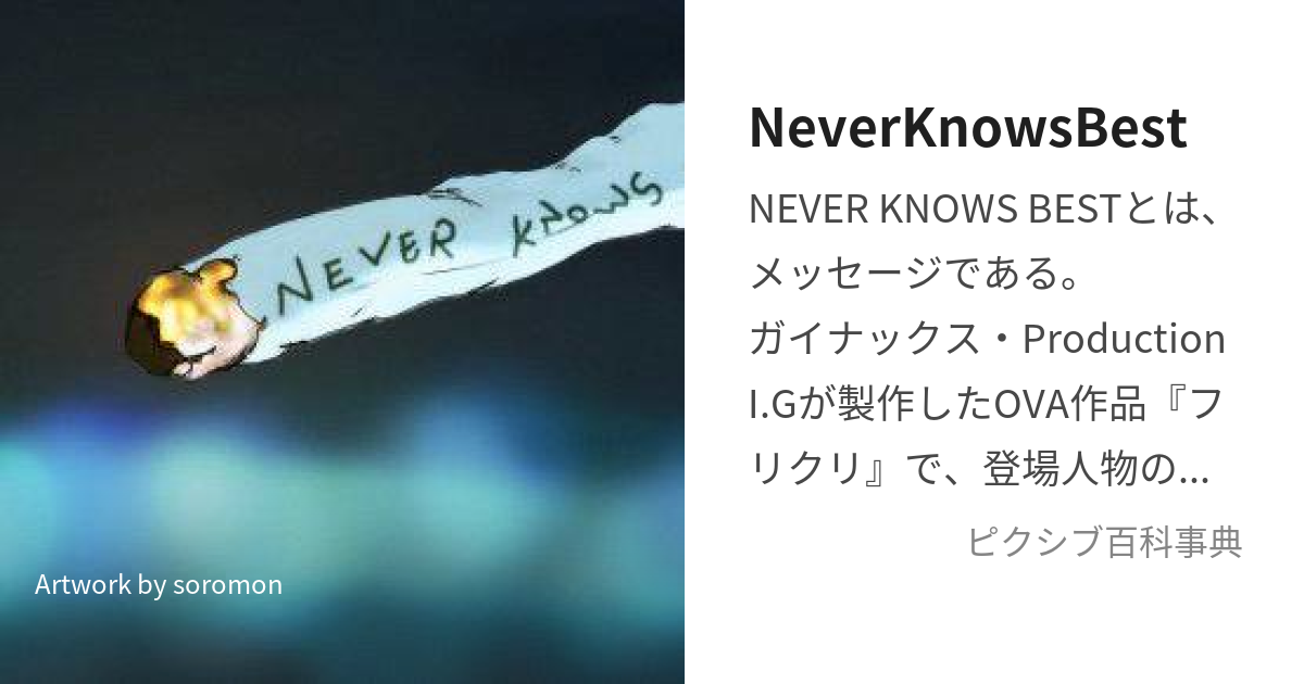 neverknowsbest ベストな方法を誰も知らないよ