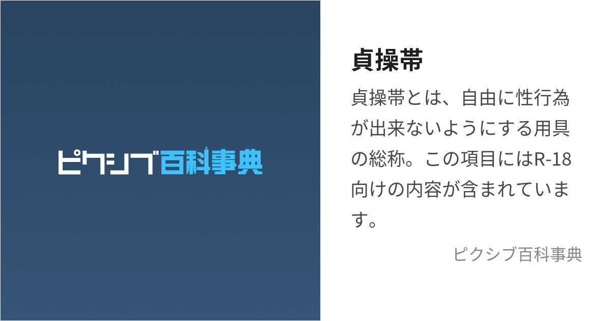 貞操帯 (ていそうたい)とは【ピクシブ百科事典】