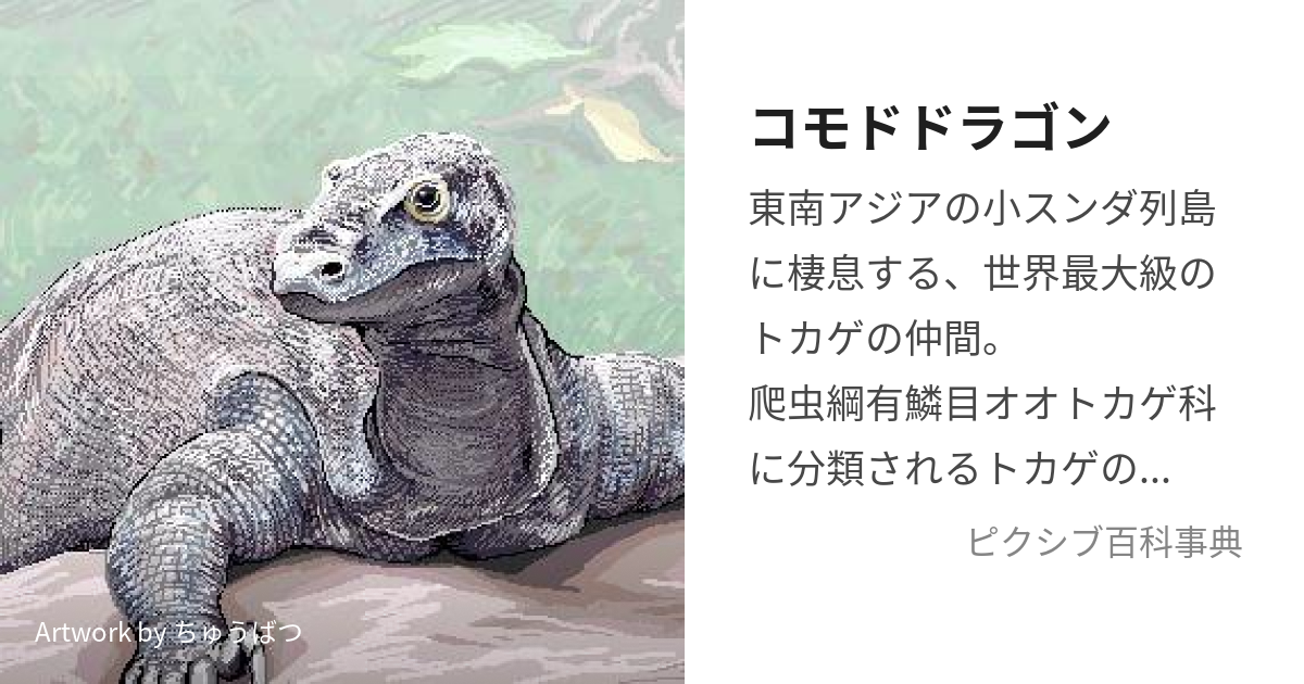 コモドドラゴン (こもどどらごん)とは【ピクシブ百科事典】