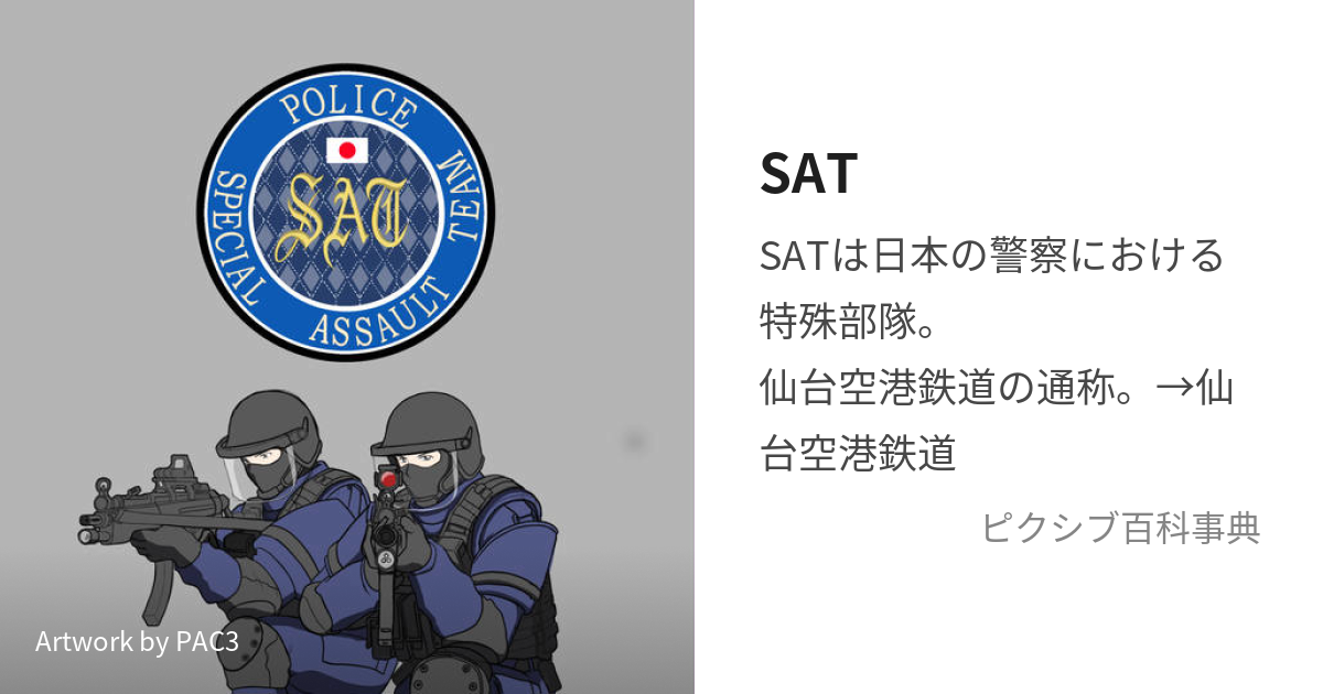 日本警察が誇る特殊急襲部隊SATのフィギュア | www.reelemin242.com