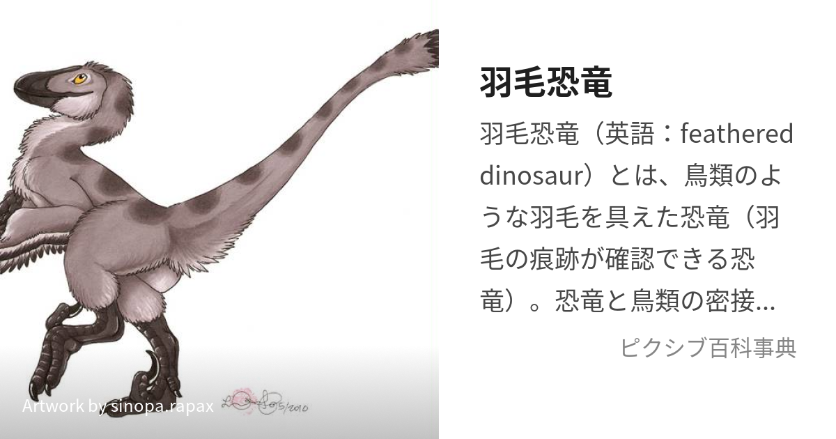 羽毛恐竜 (うもうきょうりゅう)とは【ピクシブ百科事典】
