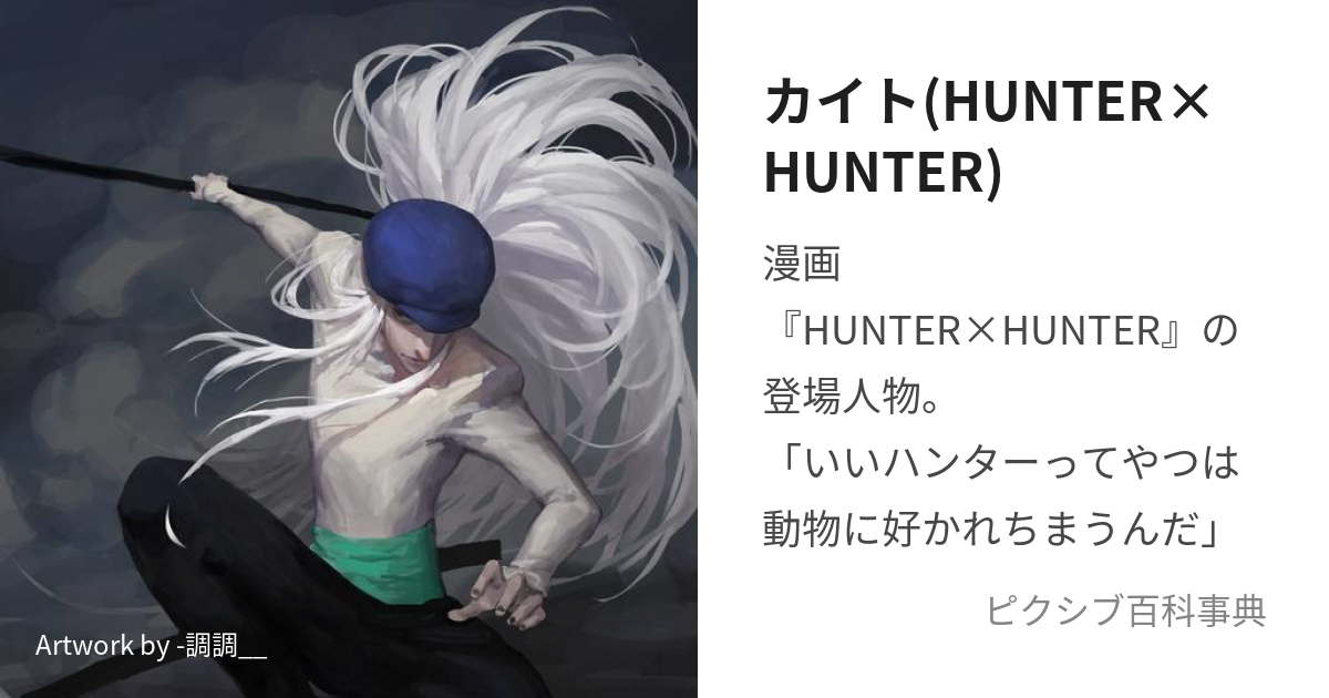 カイト(HUNTER×HUNTER) (かいと)とは【ピクシブ百科事典】