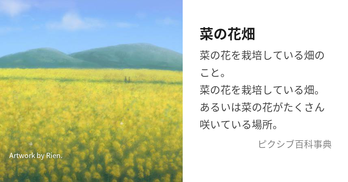 菜の花畑 (なのはなばたけ)とは【ピクシブ百科事典】