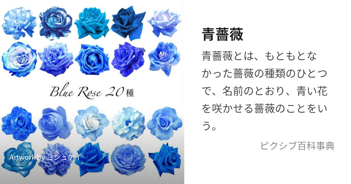 青薔薇 (あおばら)とは【ピクシブ百科事典】