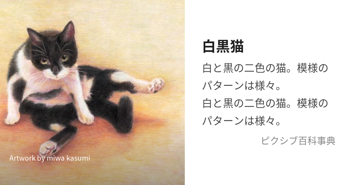 白黒猫 (しろくろねこ)とは【ピクシブ百科事典】