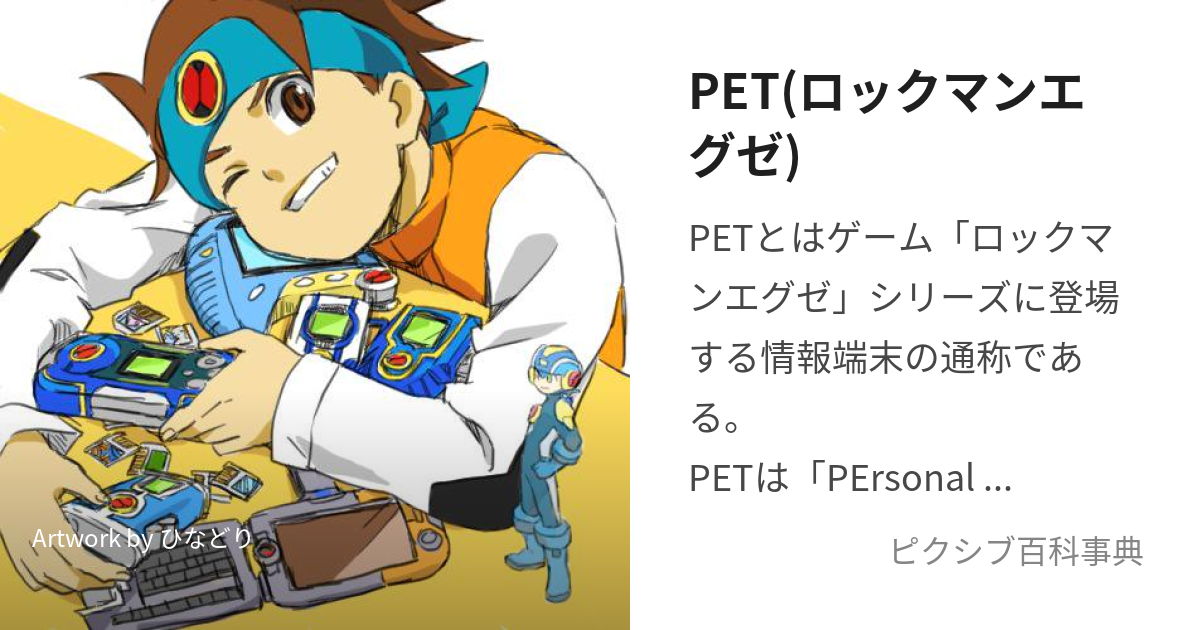 PET(ロックマンエグゼ) (ぺっと)とは【ピクシブ百科事典】