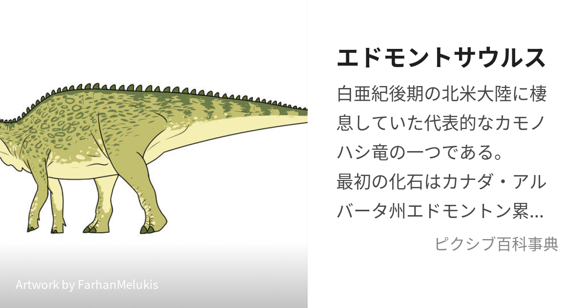 エドモントサウルス 指及び爪 化石 | nate-hospital.com