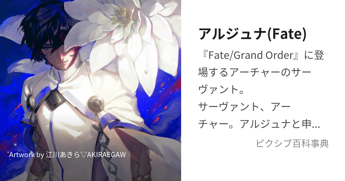 アルジュナ(Fate) (あるじゅな)とは【ピクシブ百科事典】