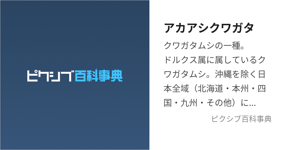 ムシキング アカアシクワガタ、キリガクレ - 通販