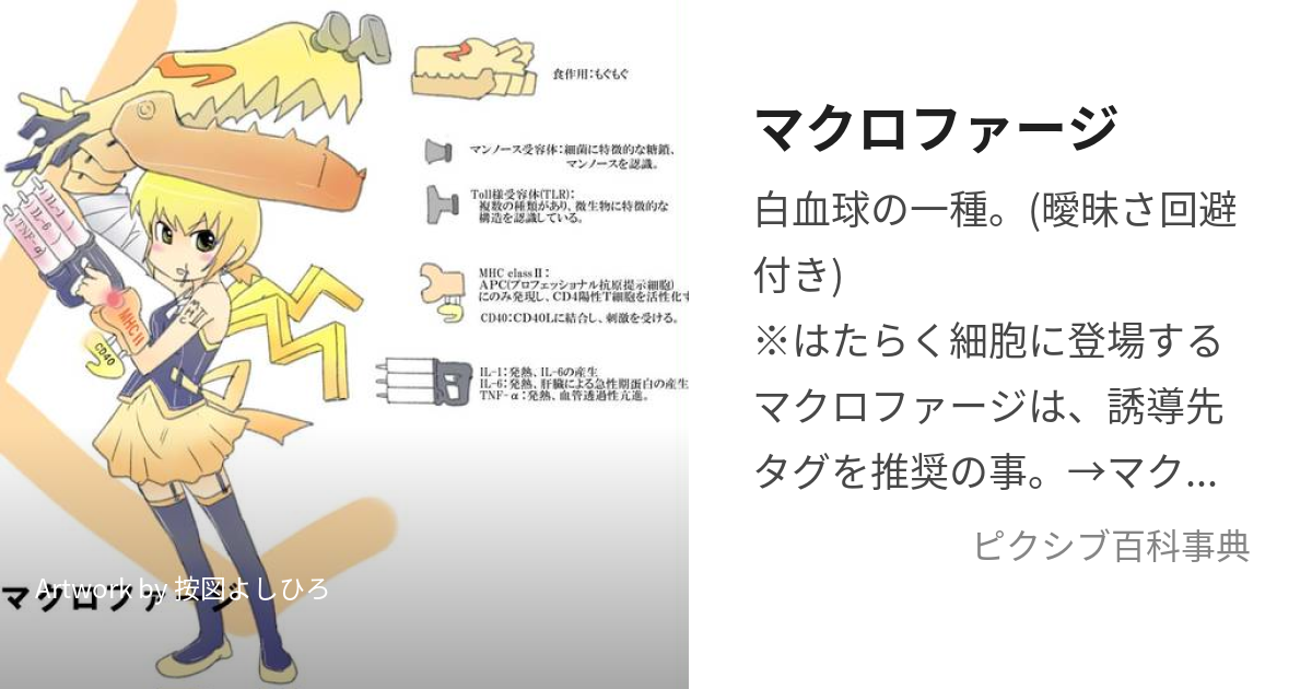 マクロファージ まくろふぁーじ とは ピクシブ百科事典