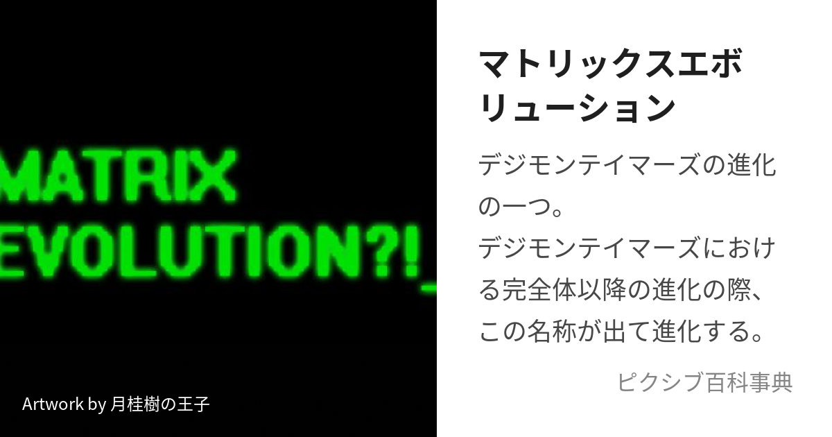 マトリックスエボリューション (まとりっくすえぼりゅーしょん)とは