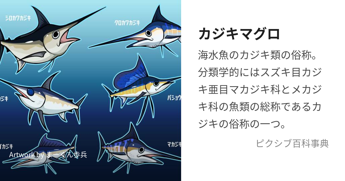 カジキマグロ (かじきまぐろ)とは【ピクシブ百科事典】