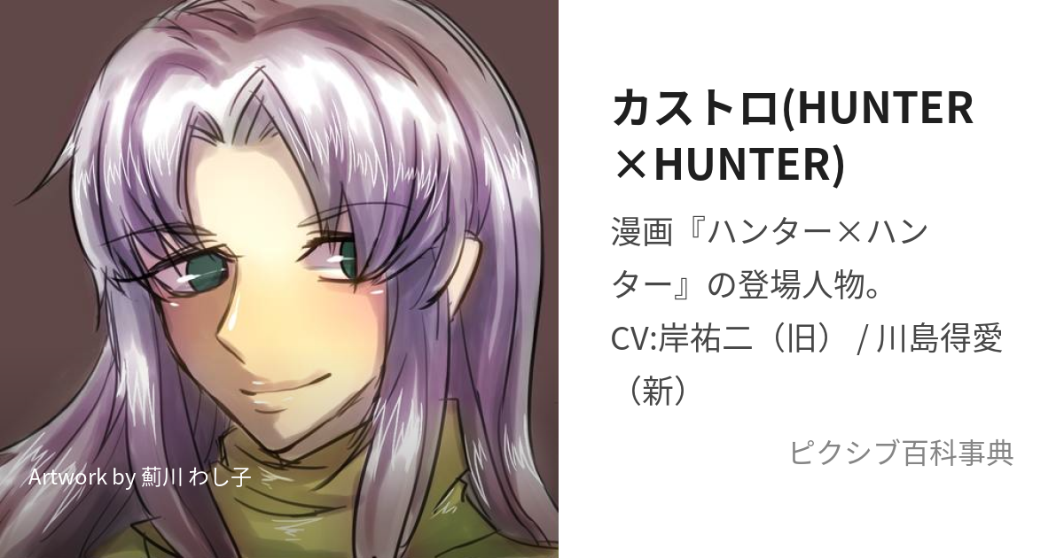 カストロ(HUNTER×HUNTER) (かすとろ)とは【ピクシブ百科事典】