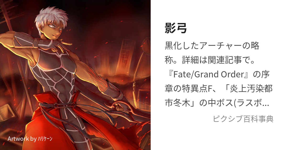 FGO fate UBW アーチャー エミヤ 衛宮士郎 詠唱 カード スリーブ