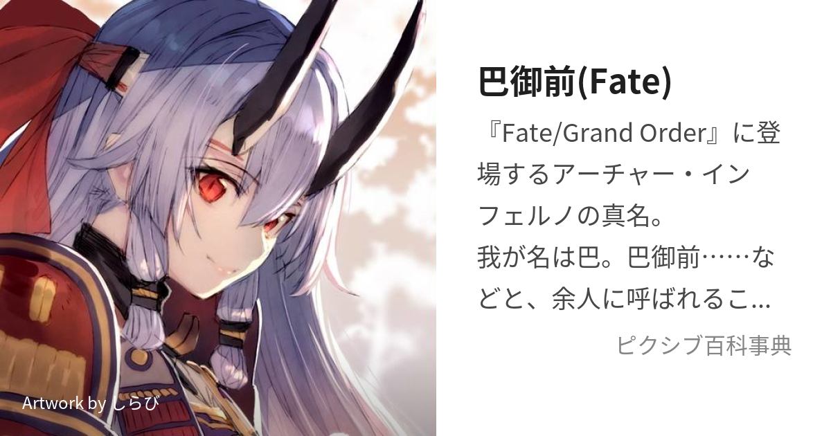 光崎 インフェルノ 巴御前 フレシア クラスター fate フェイト - スリーブ