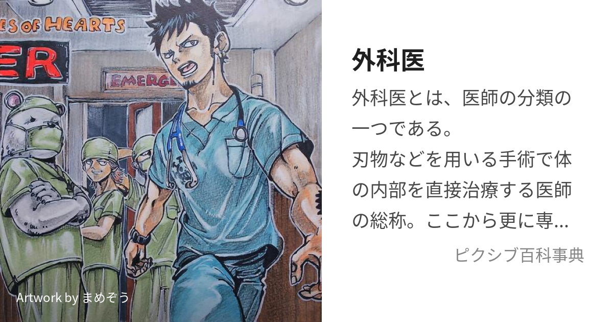 日本一掃 外科専門医受験のための演習問題と解説 第1•2集、過去問題集