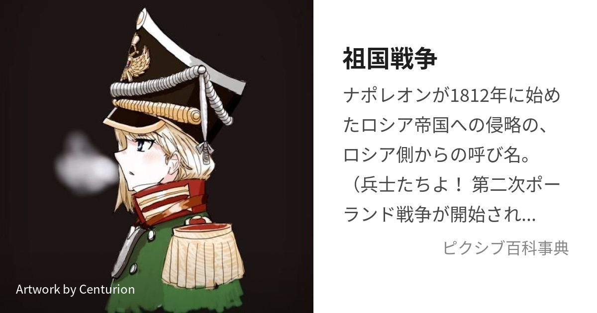 祖国戦争 (そこくせんそう)とは【ピクシブ百科事典】