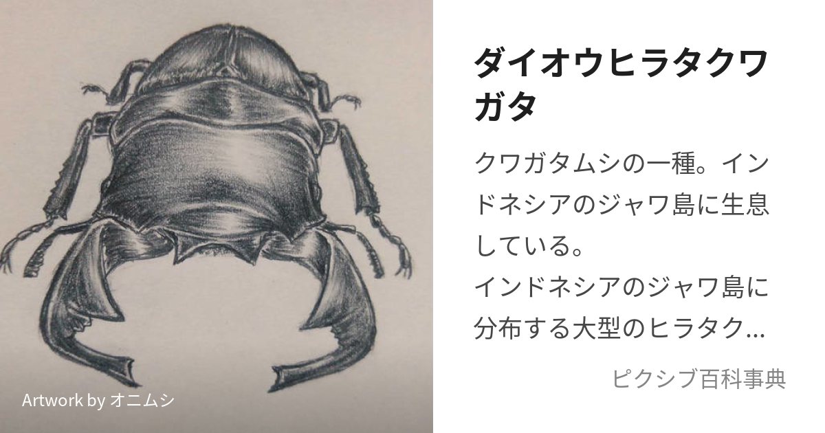 ダイオウヒラタクワガタ (だいおうひらたくわがた)とは【ピクシブ百科