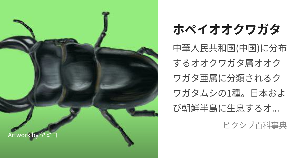 ホペイオオクワガタ (ほぺいおおくわがた)とは【ピクシブ百科事典】