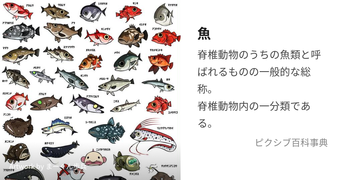 魚 さかな とは ピクシブ百科事典