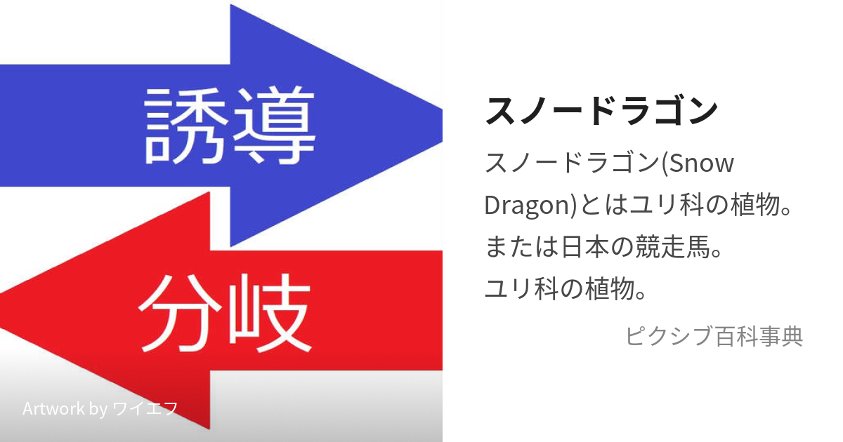 スノードラゴン (すのーどらごん)とは【ピクシブ百科事典】