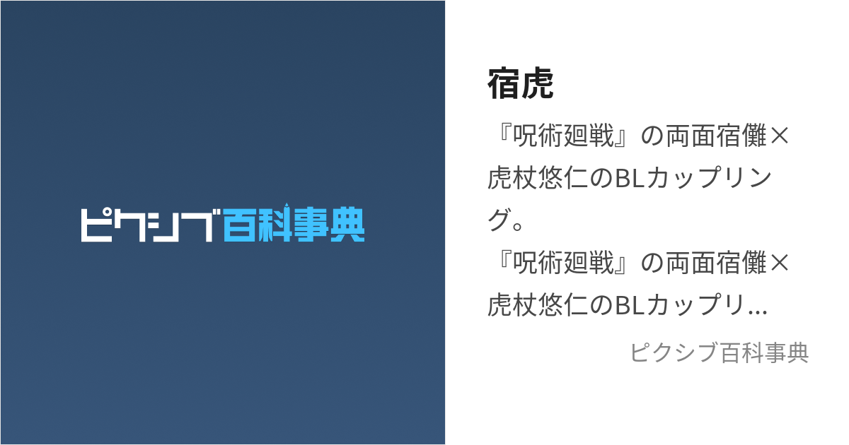 ◇◇◇呪術廻戦同人誌【宿儺受】虎宿/虎杖悠仁×宿儺】◇◇◇FOAM◇虎宿再録本 - 漫画、コミック