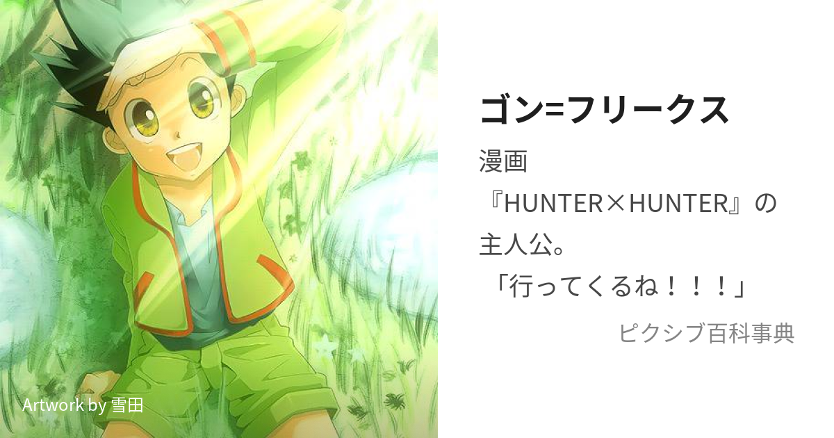 Hunter x Hunter Eternamente - Sobre os quatro protagonistas principais da  série Hunter x Hunter. - Gon Freecss (ゴン=フリークス Gon Furīkusu). Ele é filho  de um famoso Hunter, Ging Freecss e ele
