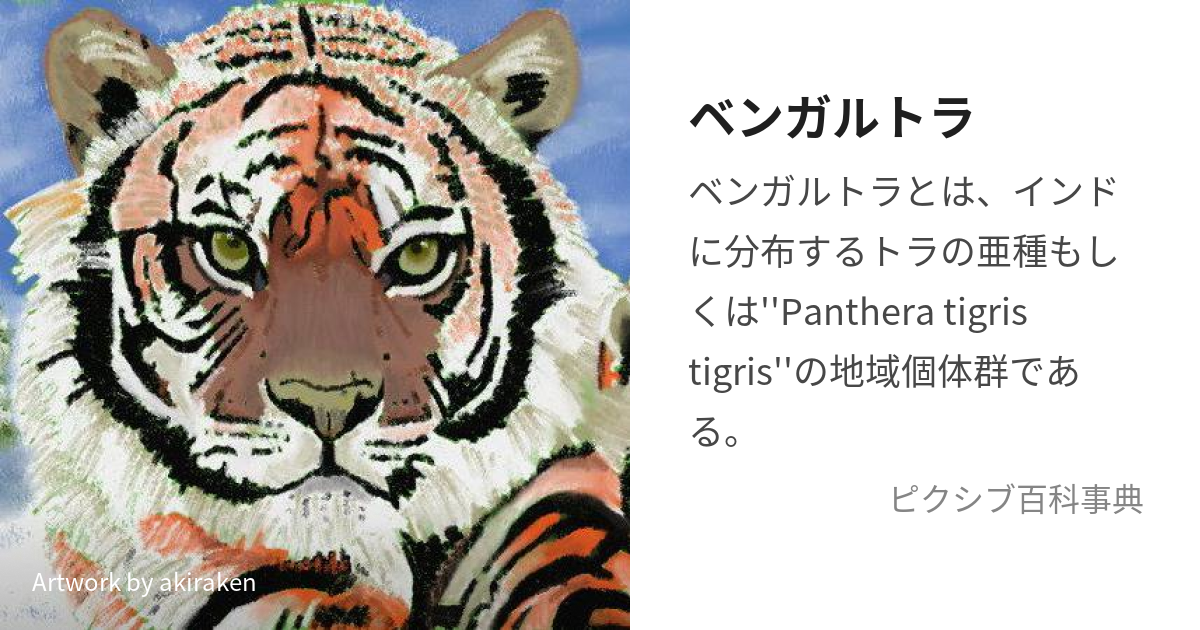 ベンガルトラ (べんがるとら)とは【ピクシブ百科事典】